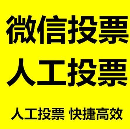 金昌市小程序微信拉票通过什么方式操作有哪些方法操作？